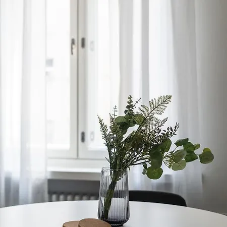 Historical 3br Downtown With Sauna 公寓